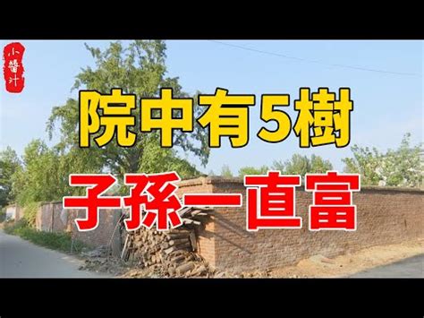 後院種樹風水|【屋後種樹】屋後種樹，好運臨門？專家解答屋前屋後的樹木風水。